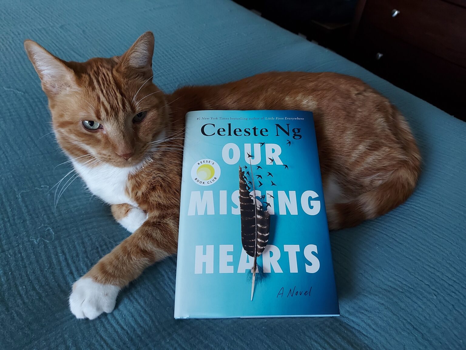 Our Missing Hearts by Celeste Ng – Bibliokitty