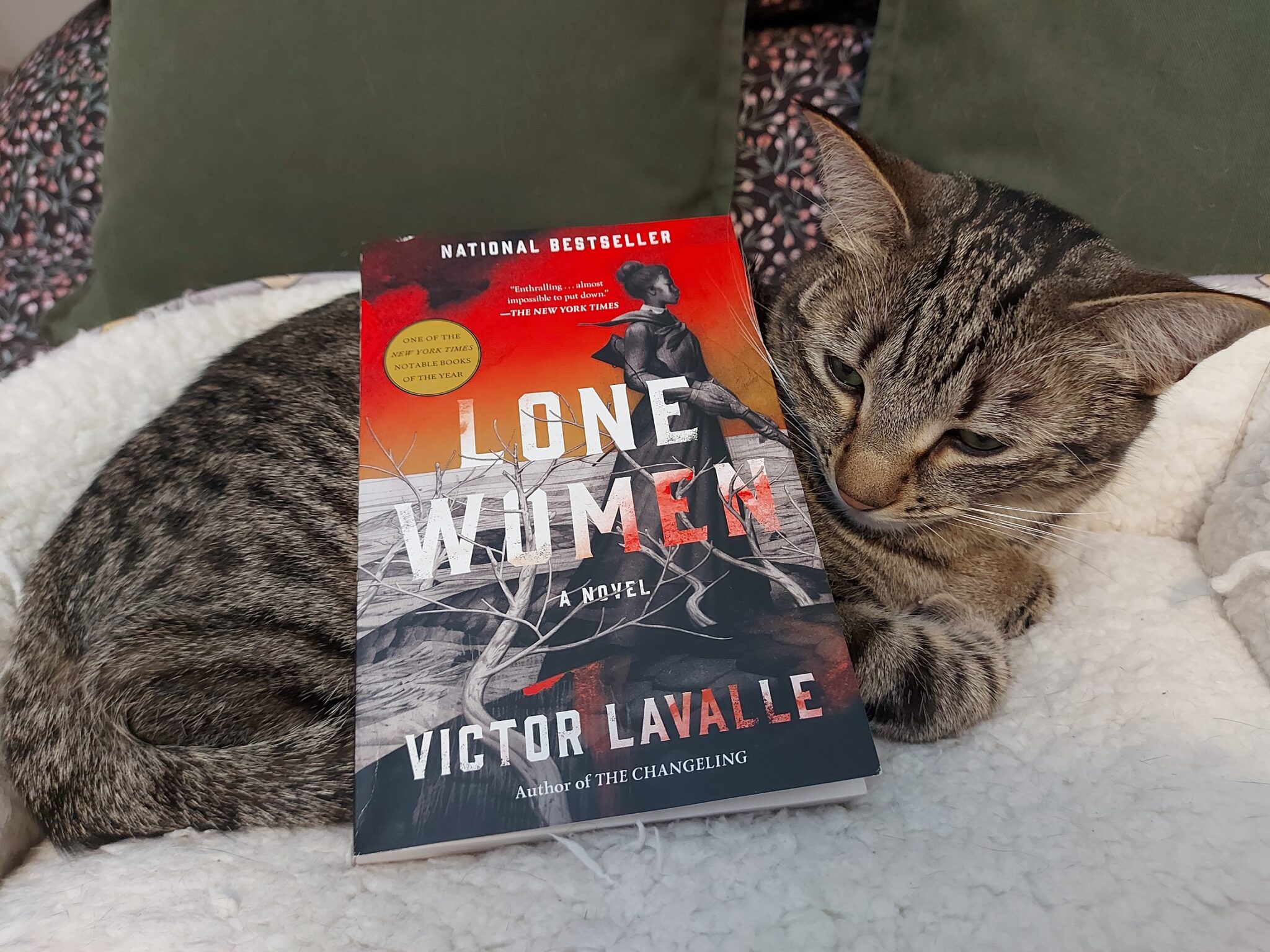 Lone Women By Victor Lavalle Bibliokitty